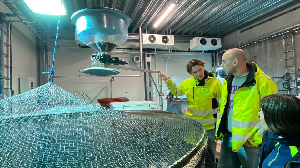 Jens Wilhelmsson och Jacob Andrén från IVL och Jenny Lycken, Smögenlax