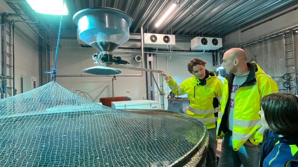 Jens Wilhelmsson och Jacob Andrén från IVL och Jenny Lycken, Smögenlax