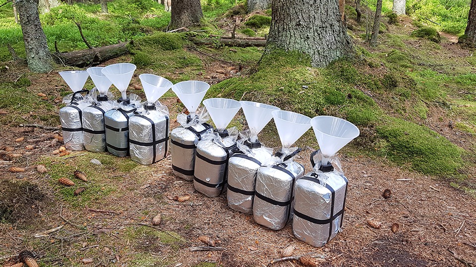 Silver test tubes in the forest