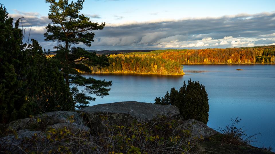 Shady mountain landscape overlooking water and forrest lit up by the sun.