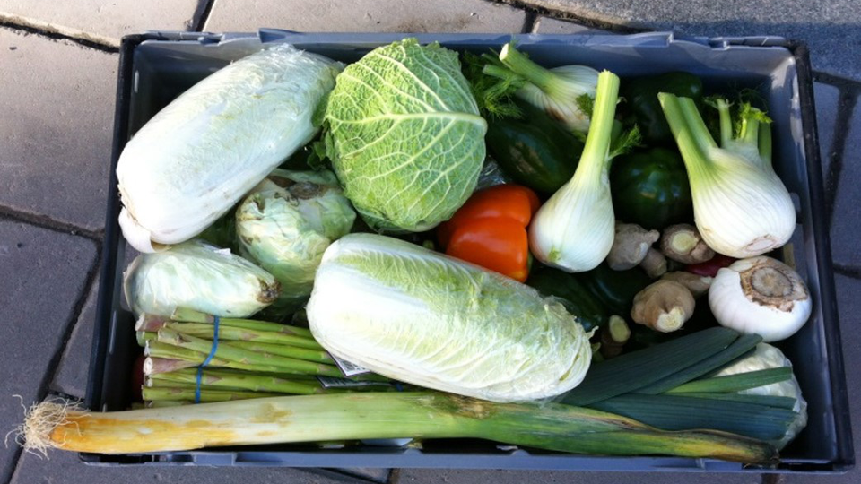 En plastlåda med purjolök, fänkål, kinakål och andra grönsaker, fotograferad uppifrån .