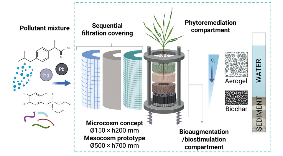 Multi-step system for treating contaminated water and sediment using filtration, plants and microorganisms.