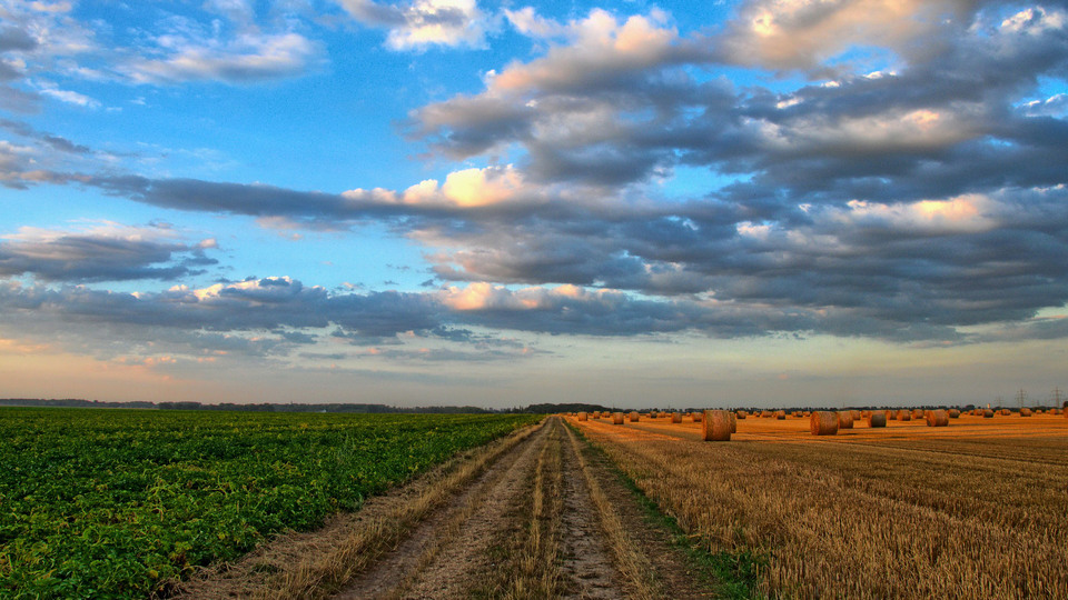 Panoramic open field. road in the middle of green grass and orange straw. Bright sky with some dark clouds.