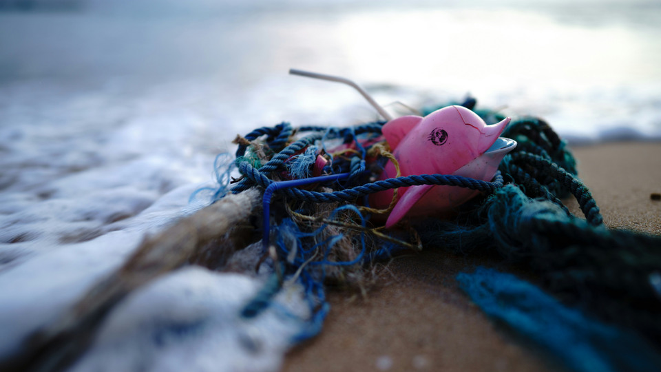 Plastskräp på strand