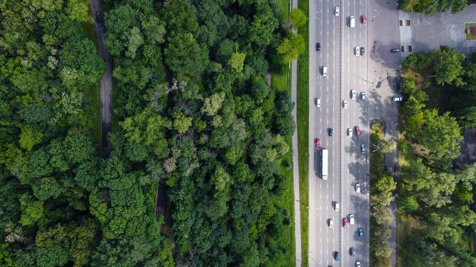 Flygfoto av skog och motorväg