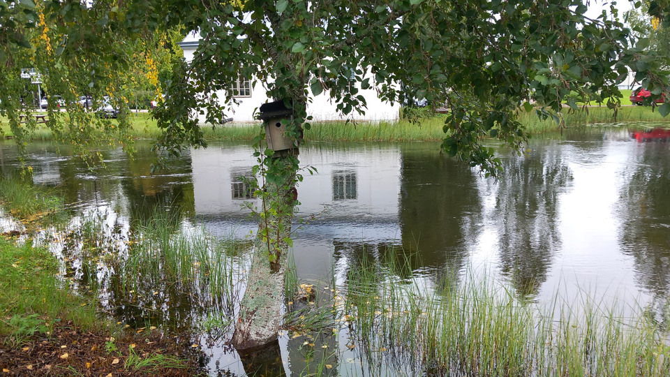 Översvämmat vattendrag i Stjärnsund, Dalarna. 