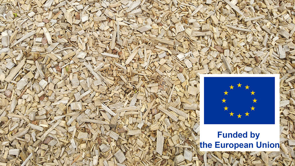 Träflis med infälld bild på EU-emblemet som visar projektfinansiering från EU.