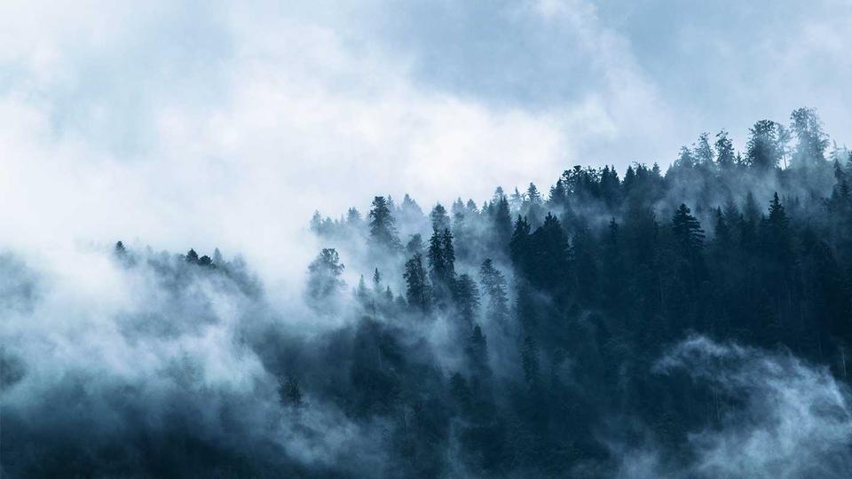 moln över en skog