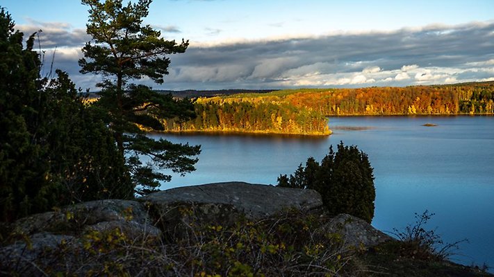 Shady mountain landscape overlooking water and forrest lit up by the sun.