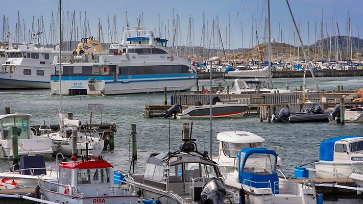 Båtar som ligger i en småbåtshamn