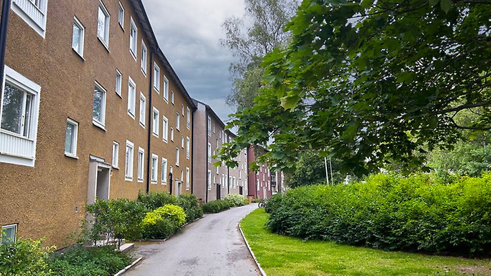 Flerfamiljshus som ligger nära en gångväg som omgärdas av gräsmattor, buskar och träd.