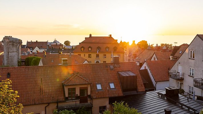 Takåsar i Visby vid solnedgången